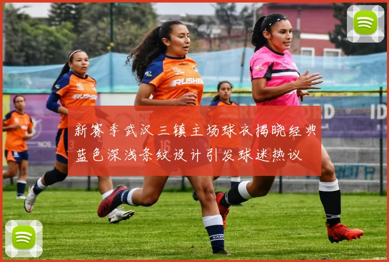 新赛季武汉三镇主场球衣揭晓经典蓝色深浅条纹设计引发球迷热议