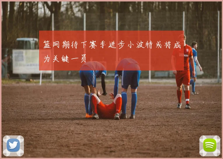 篮网期待下赛季进步小波特或将成为关键一员